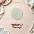 Sponge - Facial - PVA